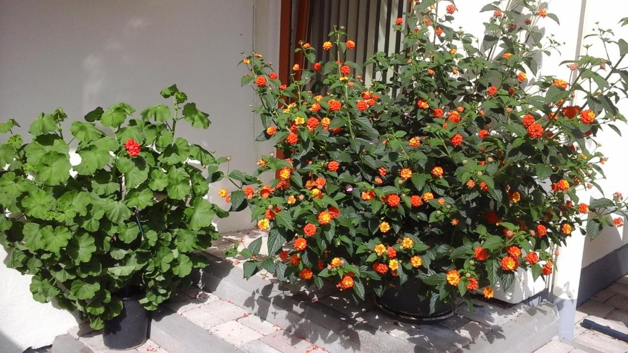 Fusch an der Grossglocknerstrasse Hotel Unterkraemerhof מראה חיצוני תמונה